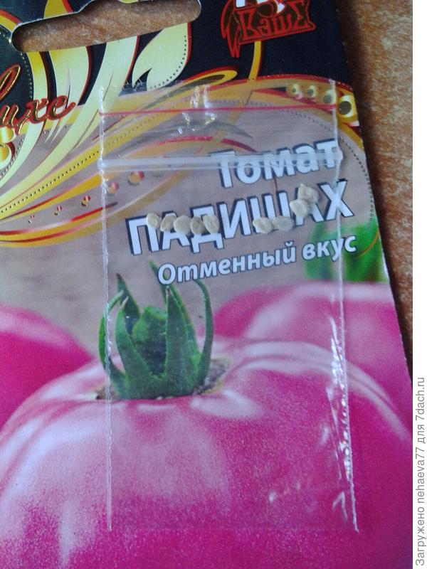 Падишах-в пакетике 9 семян