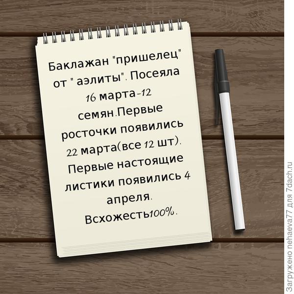 мои наблюдения