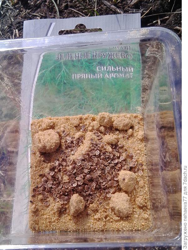 Для посева взяла половину семян