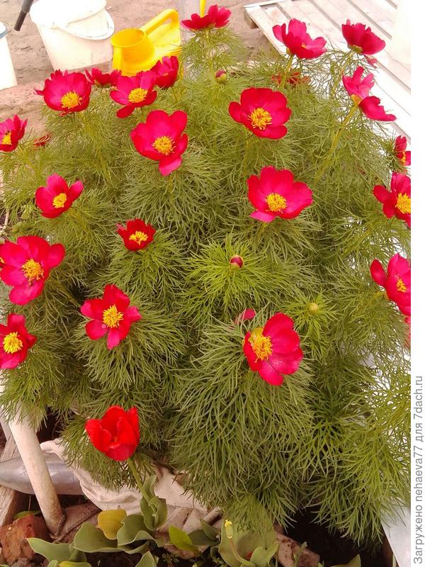 спасибо за замечательные рецепты!