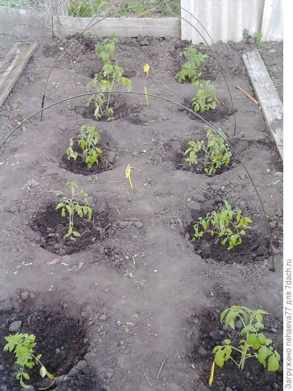 Неделю спустя.....