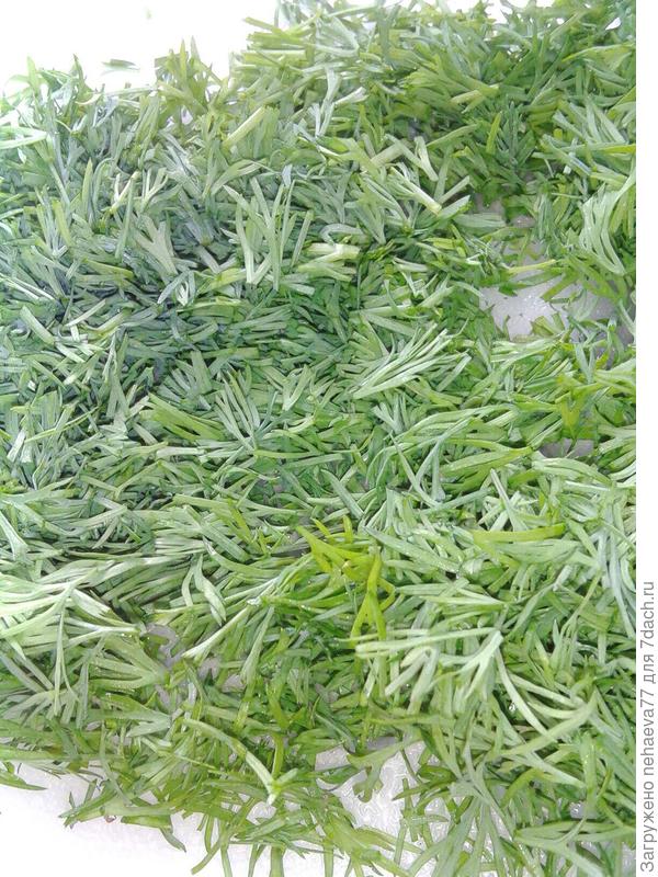 А это первый урожай.Сочная,ароматная зелень. Очень нежная на вкус . Пробу снимала 7 июня,т.е. через 37 дней после всходов.Отличный результат.