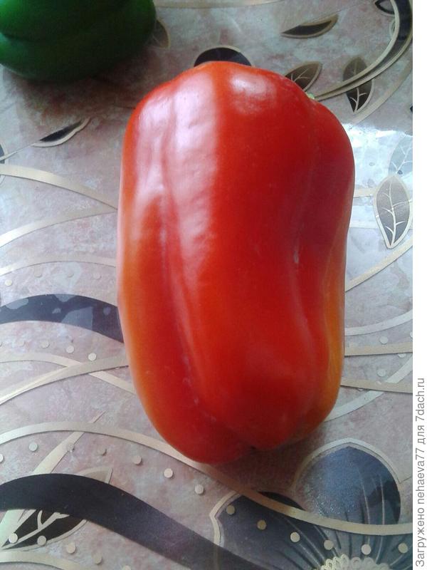 братец Гриль