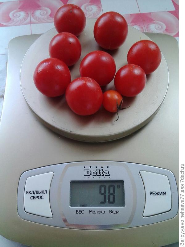 без веточки- 98 г