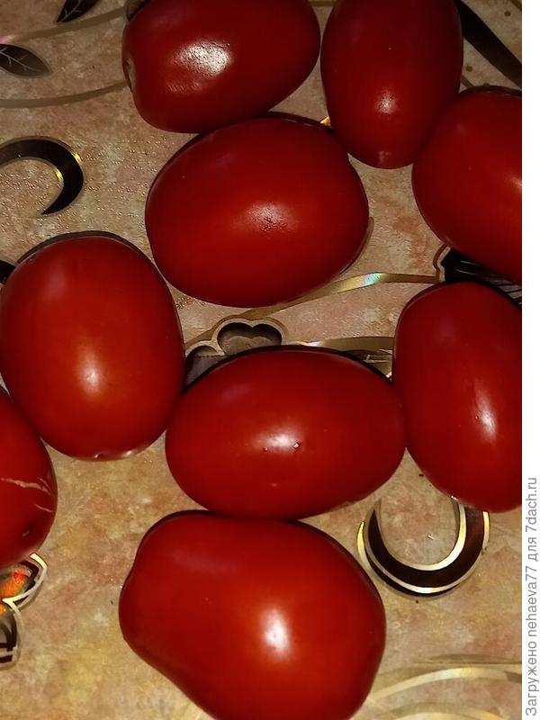 царский томат
