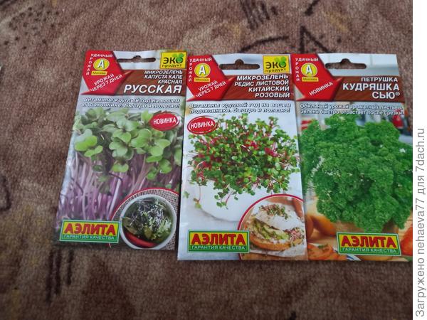 Микрозелень