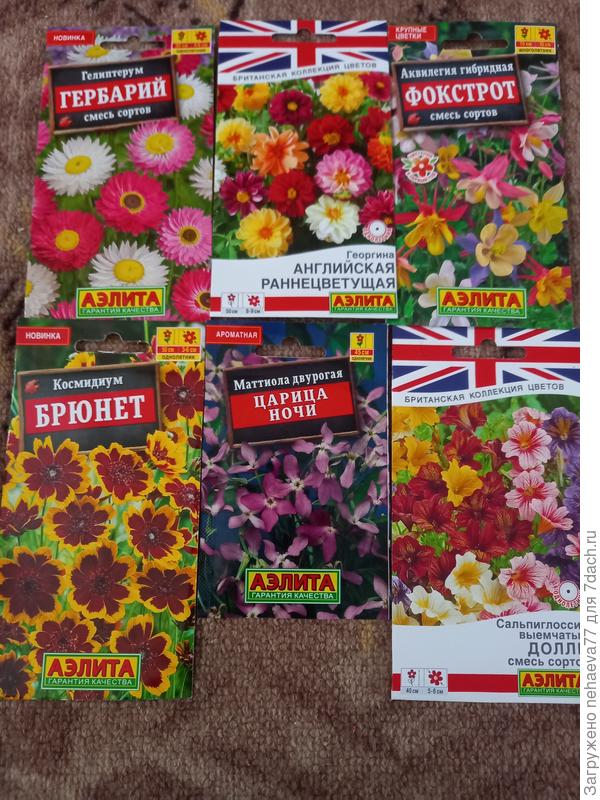 А это уже избранные,на будущее лето обязательно буду сеять!