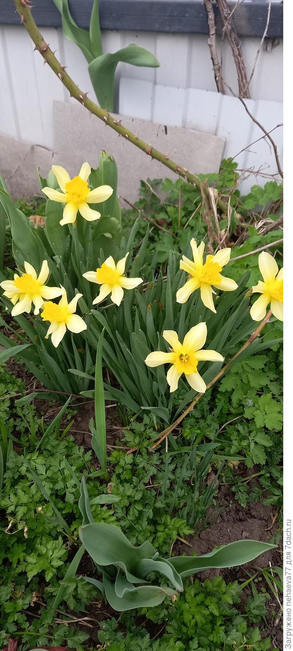 От своих собратьев,крупнее