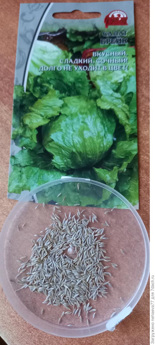 Вкусный,сладкий,сочный!