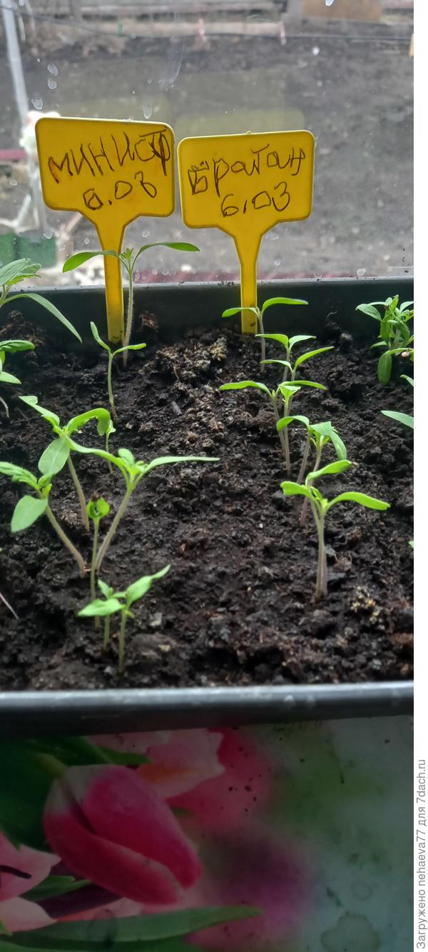 Остальные подтянулись...