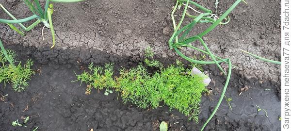 Фото от 16 мая