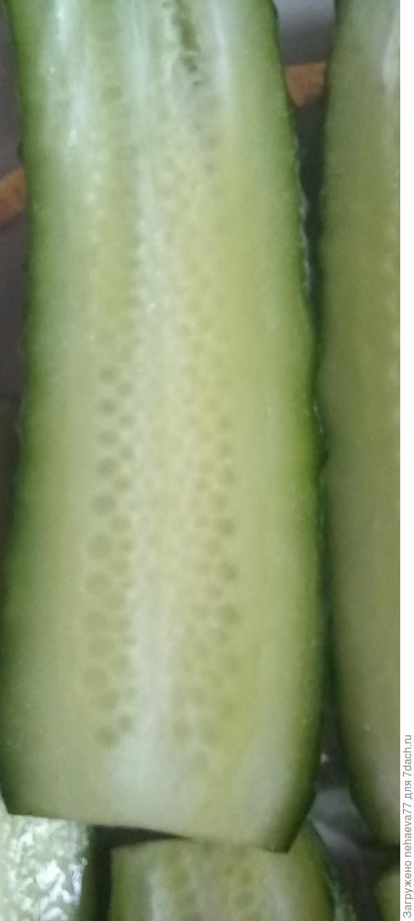 Братец корнишайк