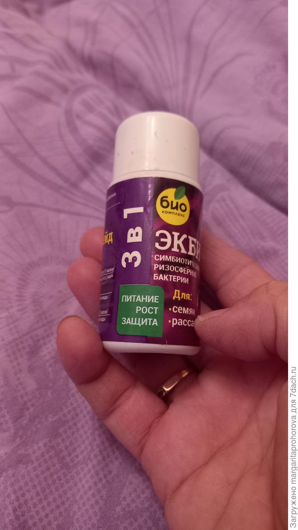 Семена замачивала в этом чудо- средстве