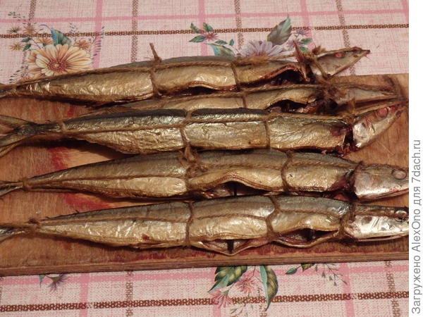 Копченая сайра