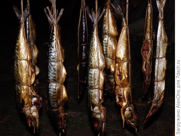 Копченая скумбрия. К сожалению, пришлось фоткать ночью