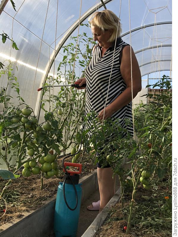 Опрыскивание борной кислотой- залог хорошего урожая!