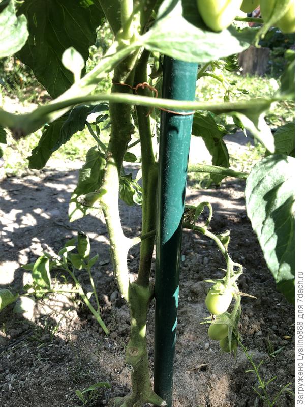 Начинается ...Розовый Агат,номер 2