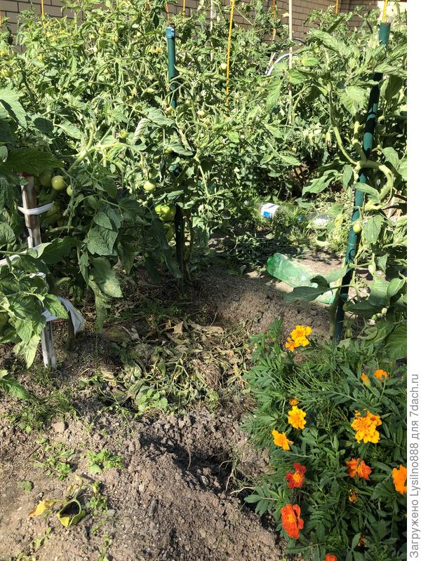 Общий план,теперь стало посвободнее