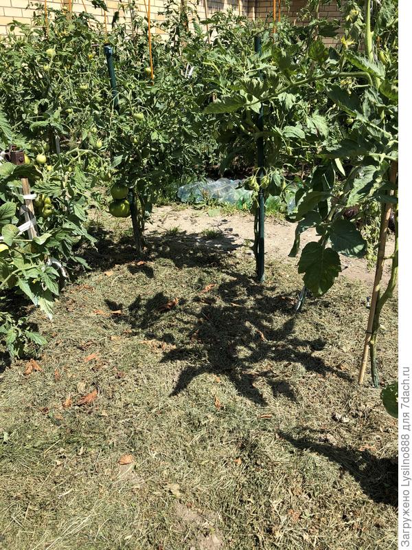 Дождей нет три дня