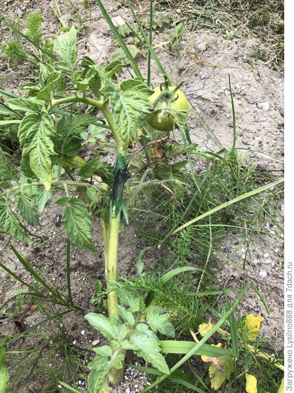 Четыре дня назад