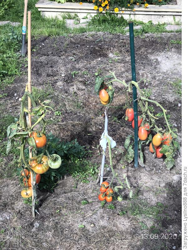 Три мушкетера:)