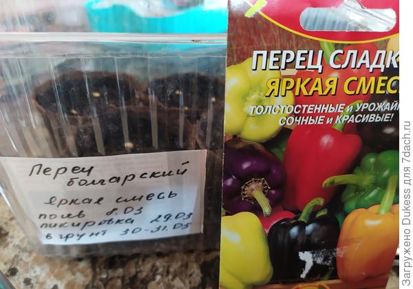 Эксперимент этого года.