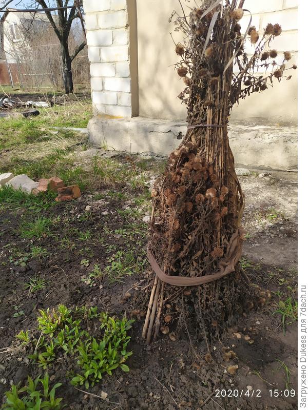 Пока всю защиту не снимаю.