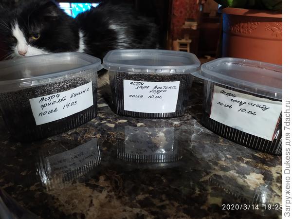 Рассаду посеял, можно и отдохнуть...