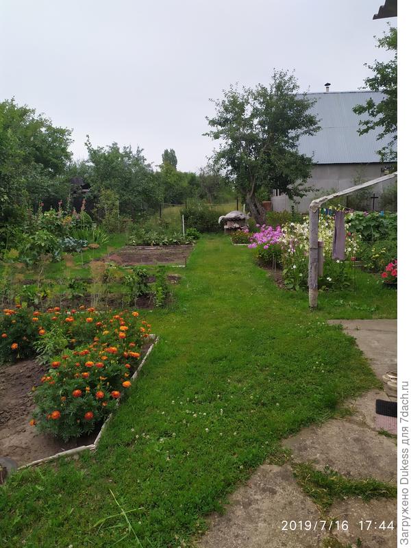 Фото прошлого года, когда я в отпуске была у мамы... Газон идеален ...