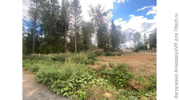 любительское фото участка )