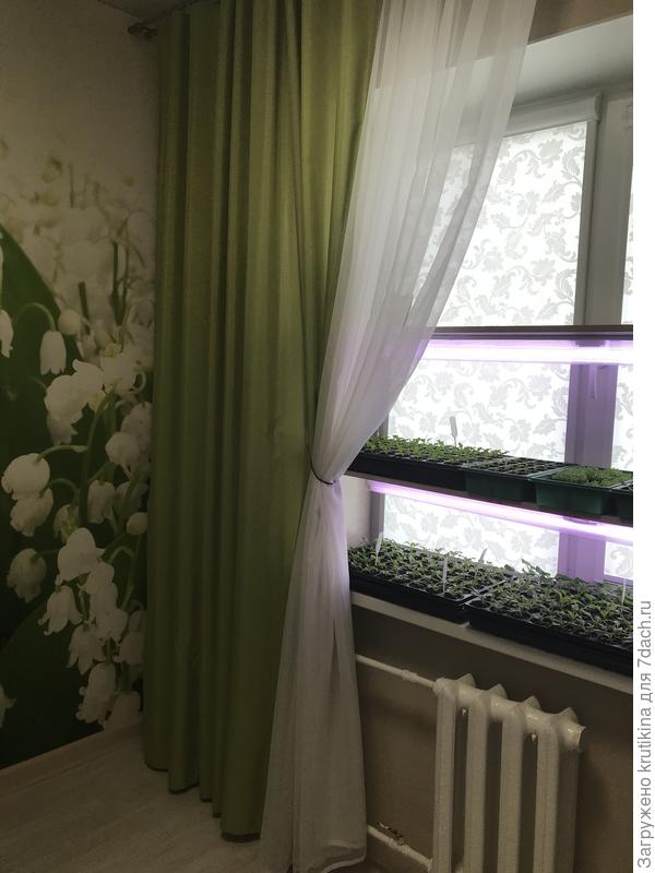 Стелаж «для рассады « на подоконнике