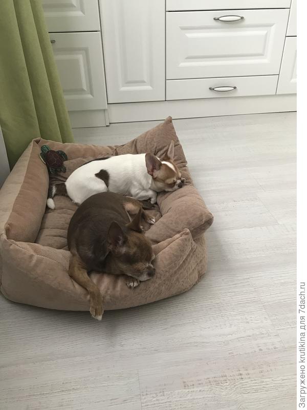 Девчонки спят