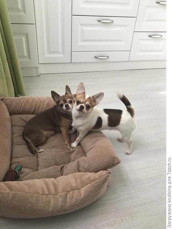 Девочки мои!!! Люблю- немогу!!!