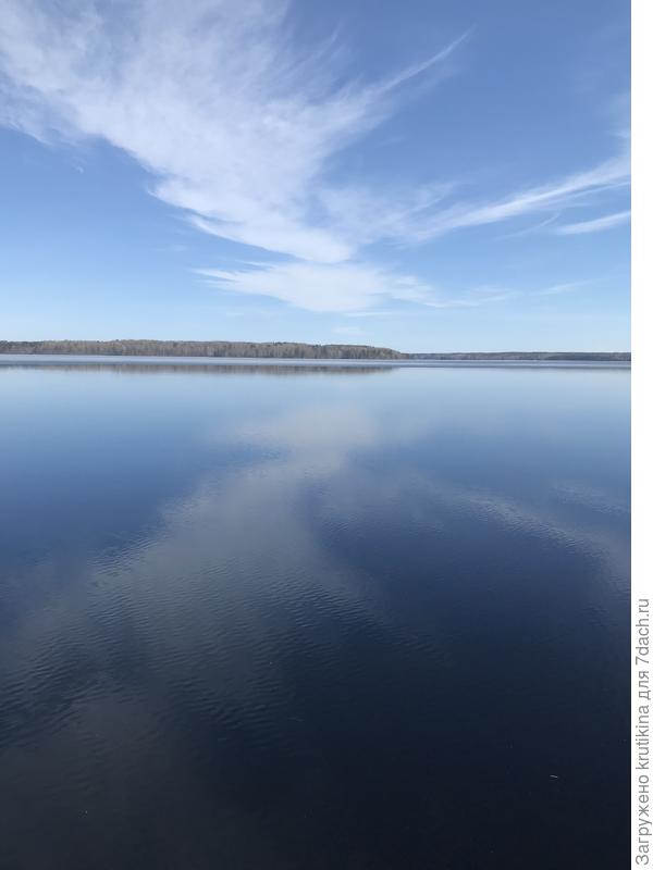 Сфотографировала 10 мин назад