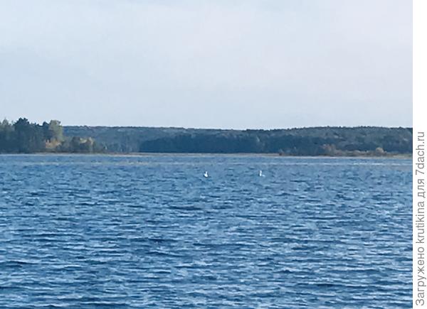 Далековато красавцы