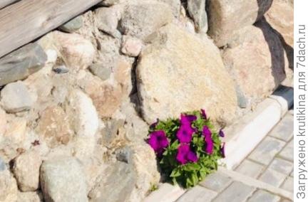 Фото нашла, увеличила