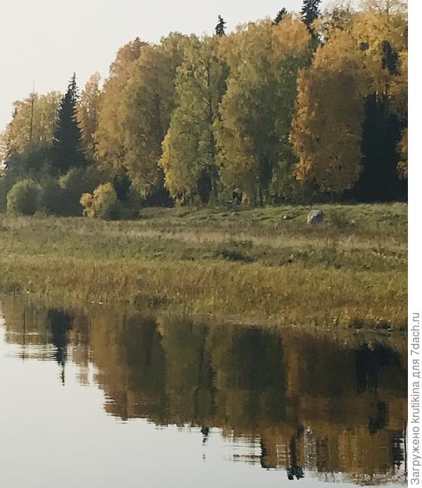 Роща, за домом