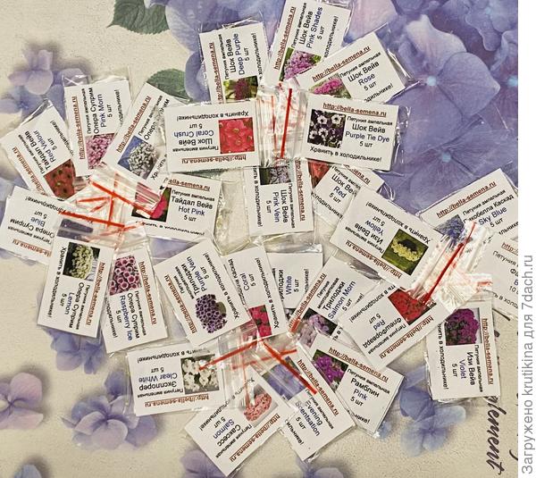 Сорта петуний, что посеяла.