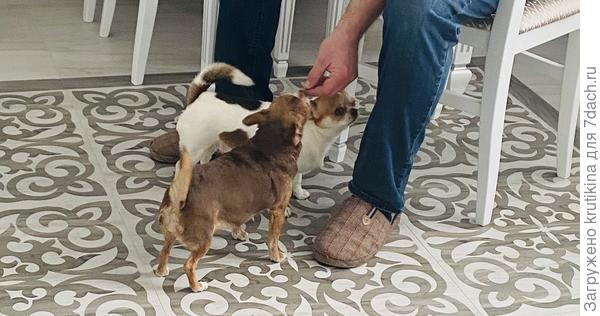 Папа на обеде, может чем вкусненьким накормит!!