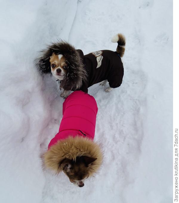 Хорошо на улице гулять!