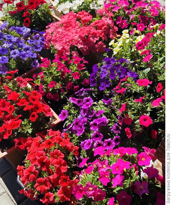 Кучка ,не мала ))