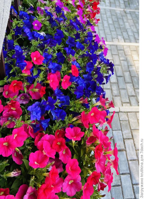 Вид с верху терассы дома