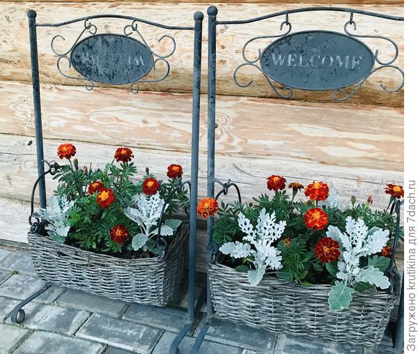 30 июня( 2020г)