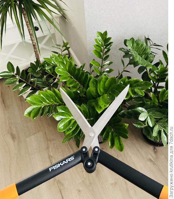 Нет, нет.. цветы не пострадали