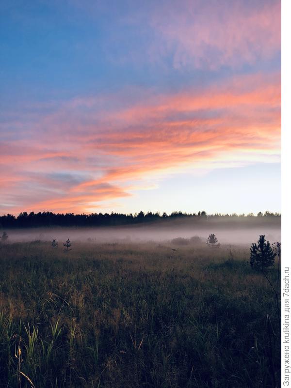 Вечер, туман и тишинааа!