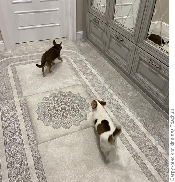 2. 01 .2021 г . Кошечки у нас нет, первые зашли наши собачки .