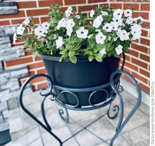 Тайдал Silver N2