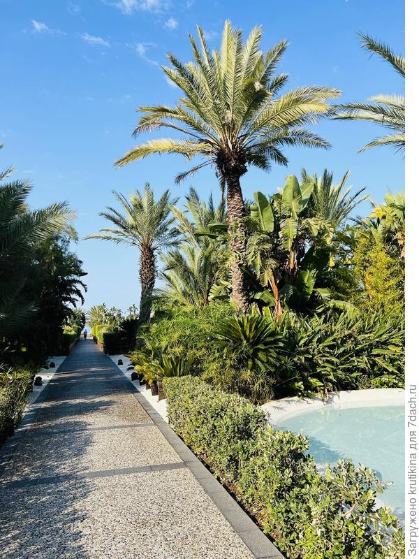 Иду на пляж