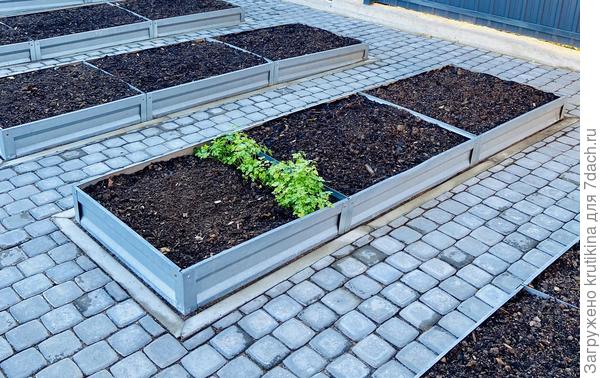 Грядки подготовлены