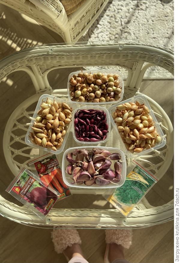 Лучок севок осенний: Стурон, Кармен, Штутгартер, Сэншуй Йелоу Глоб. Купила новый сорт чеснока « Валдайский»  , ,